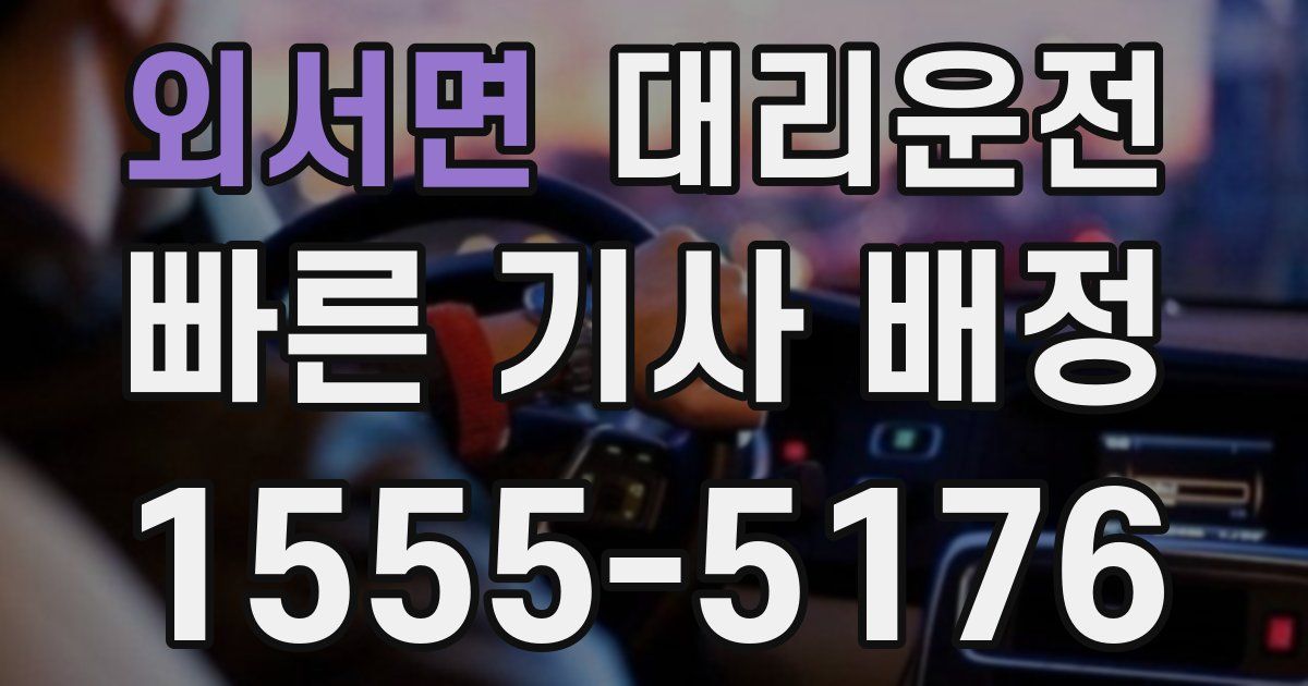 일일대리기사