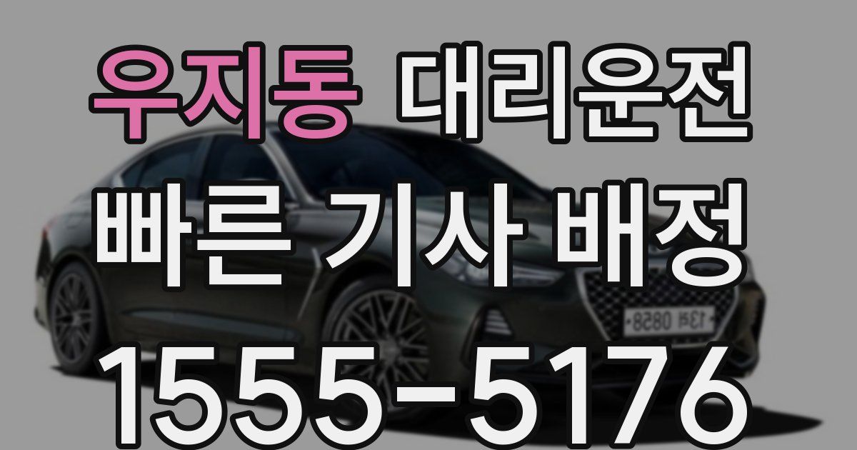 일일대리기사