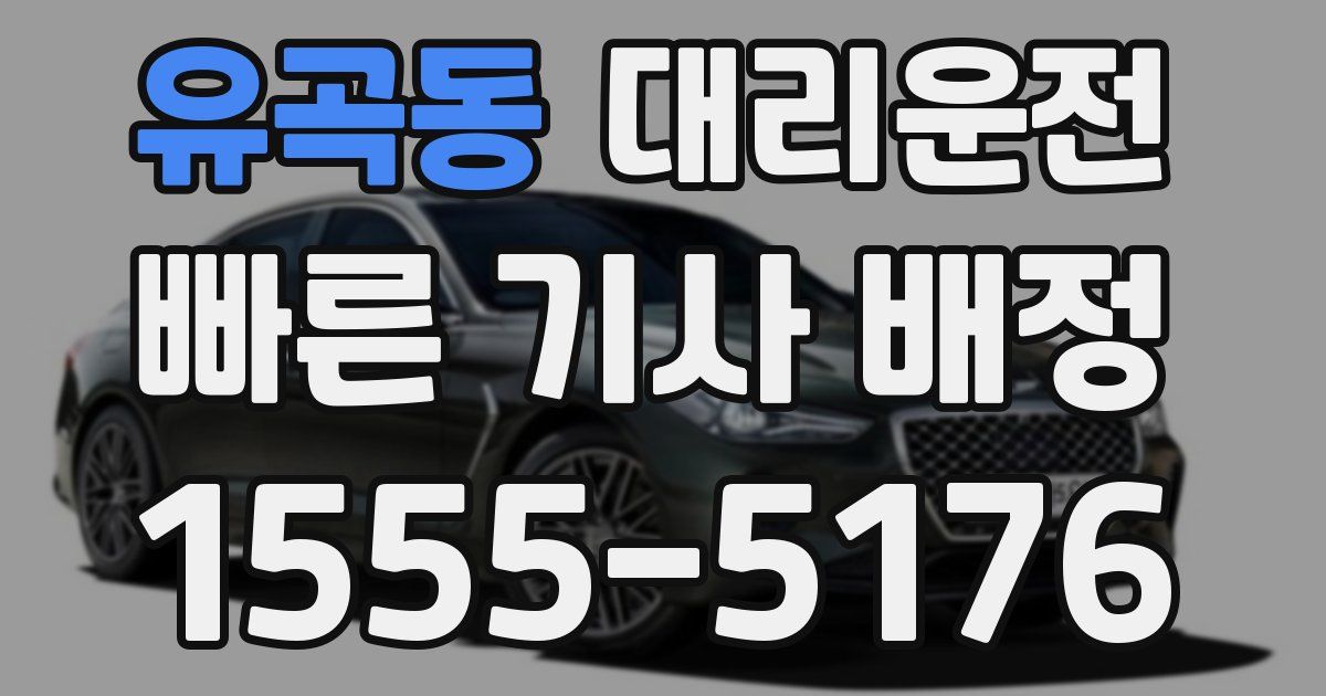 일일대리기사