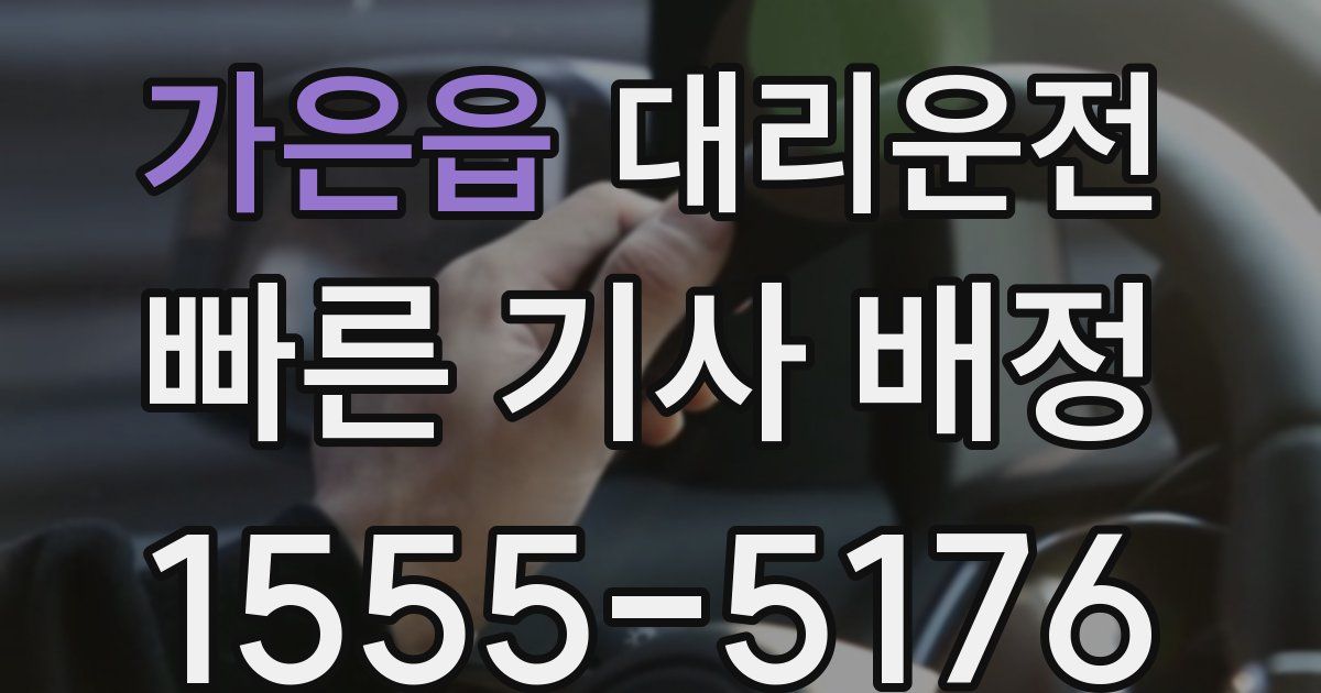 일일대리기사