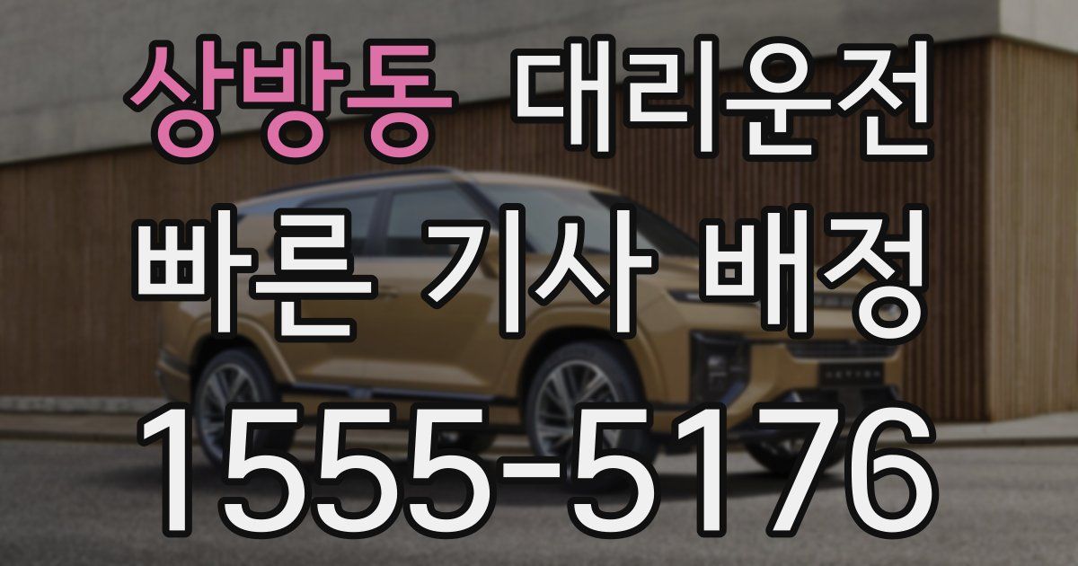 일일대리기사