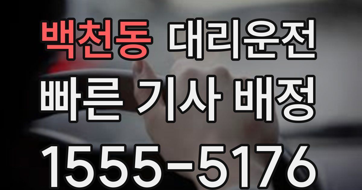 일일대리기사