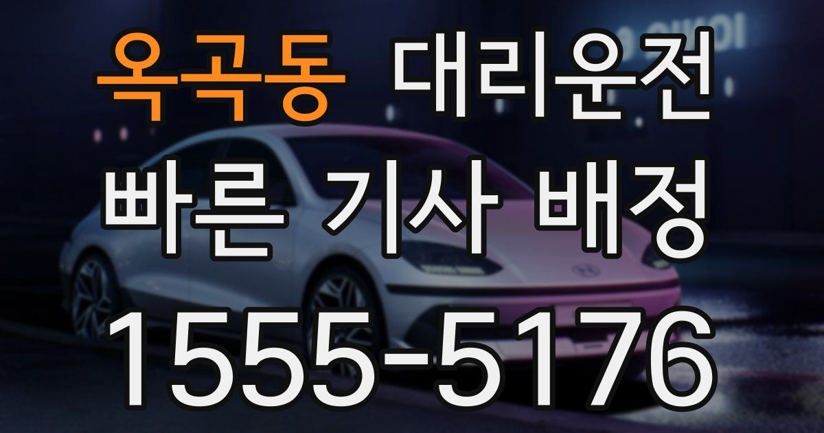 일일대리기사
