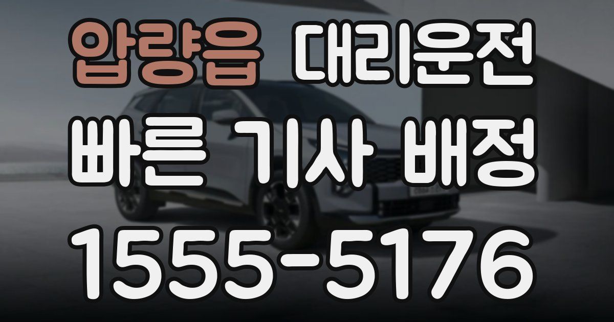 일일대리기사