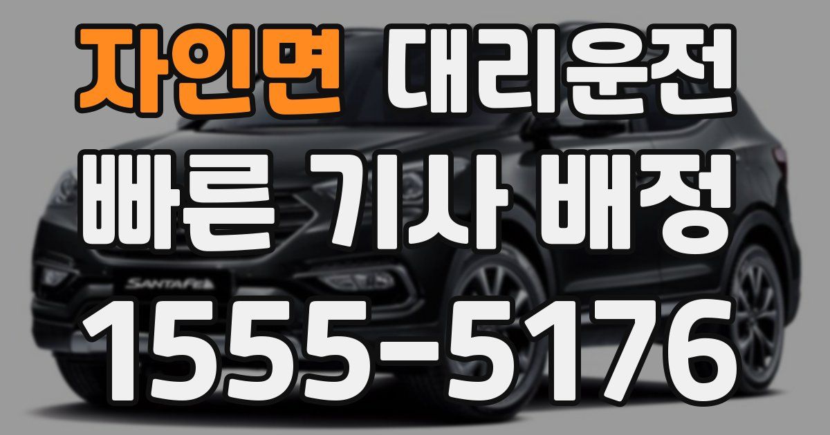 일일대리기사
