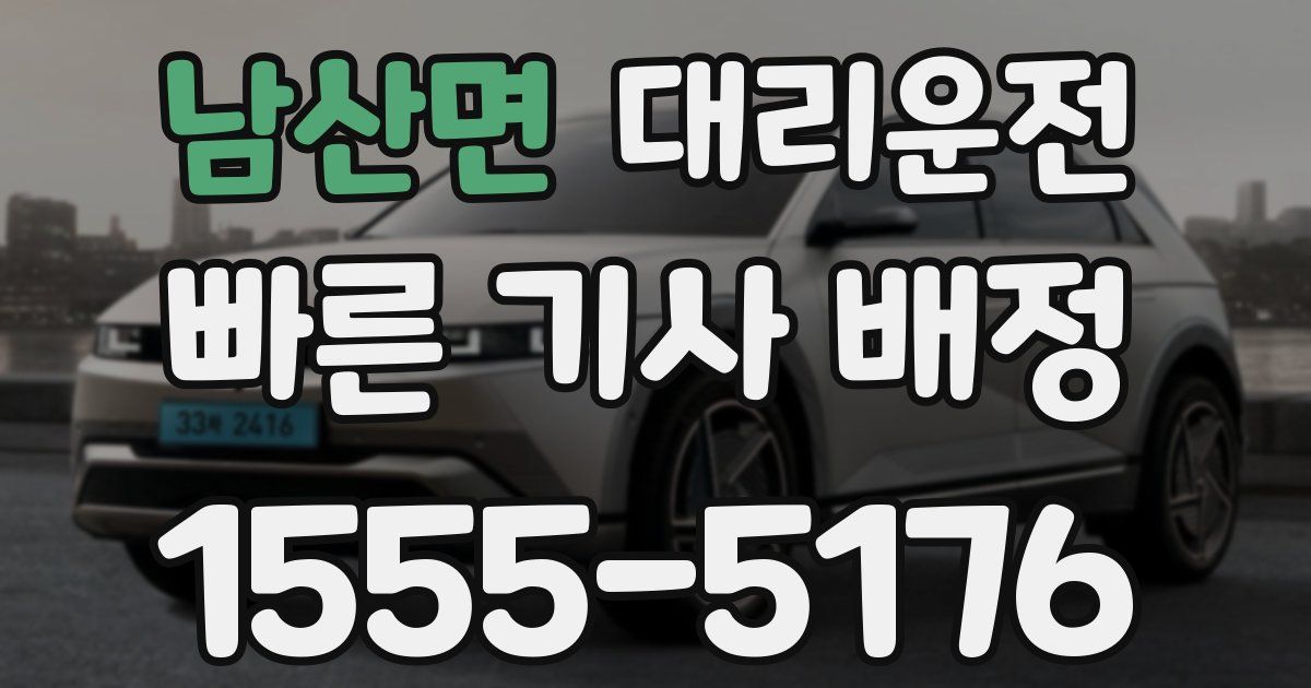 일일대리기사