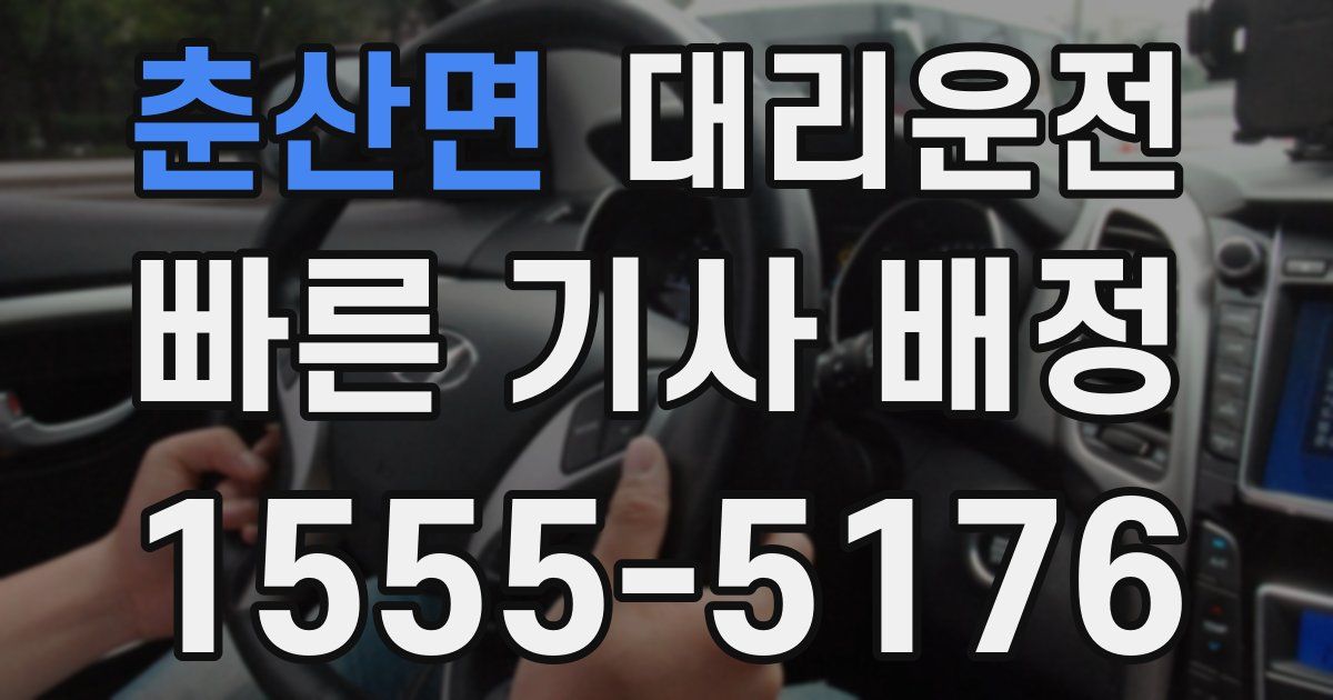 일일대리기사