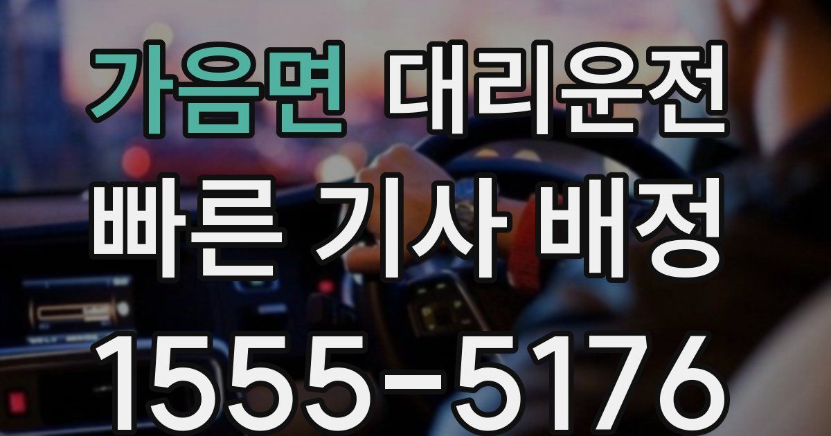 일일대리기사