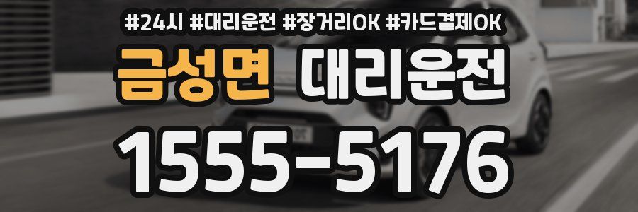 금성면 대리운전