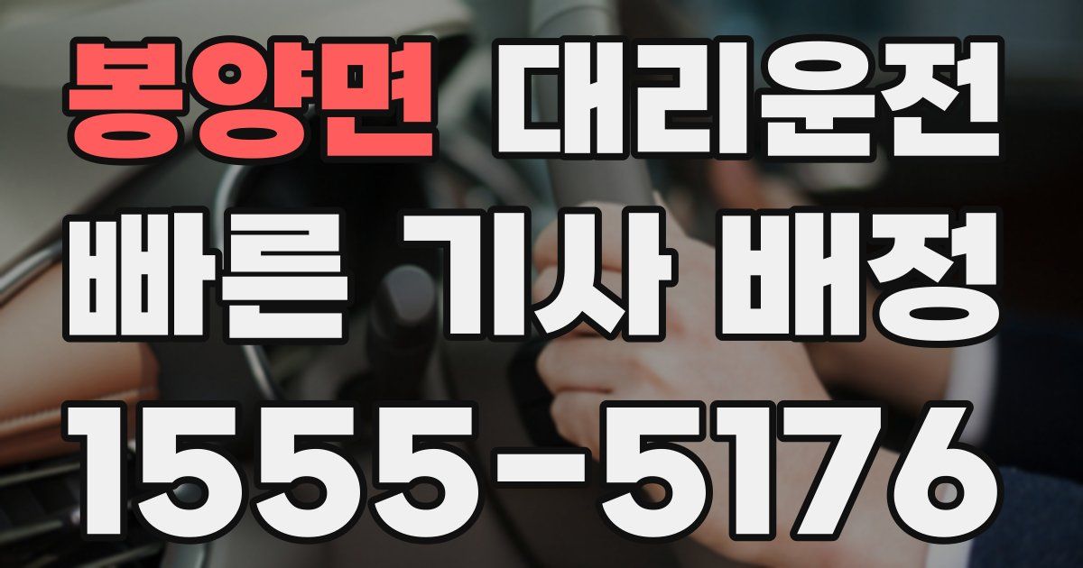 일일대리기사