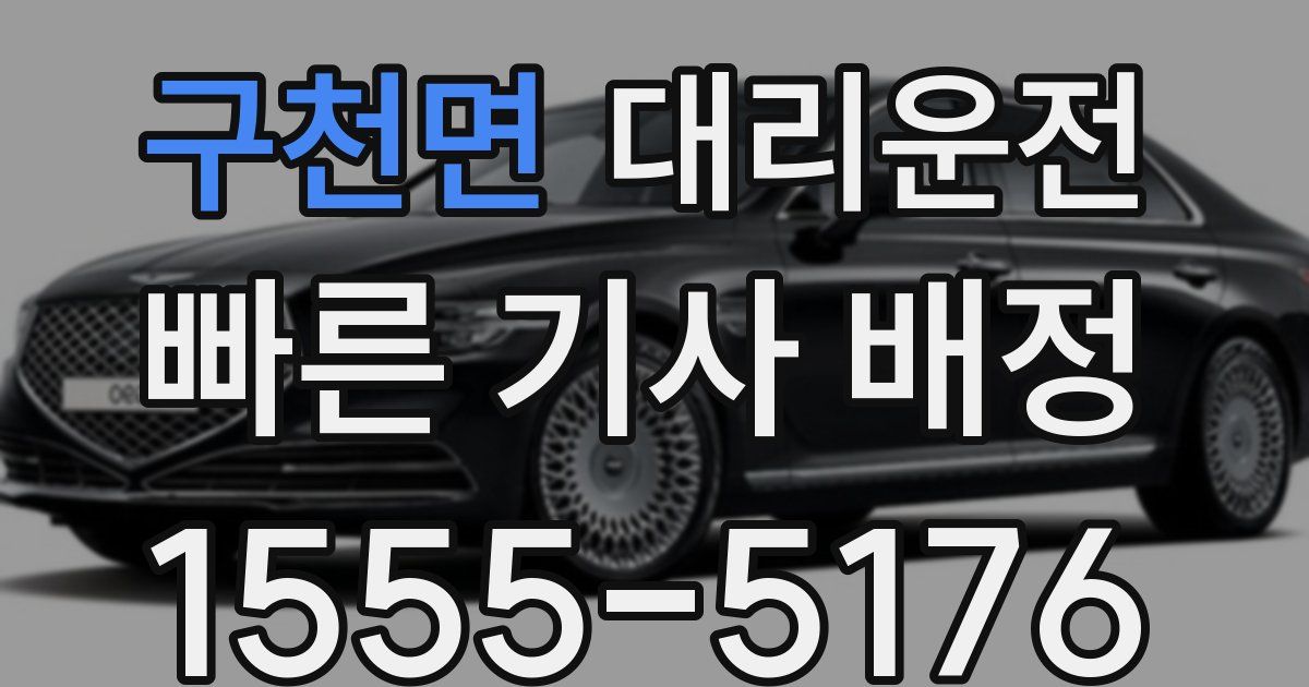 일일대리기사