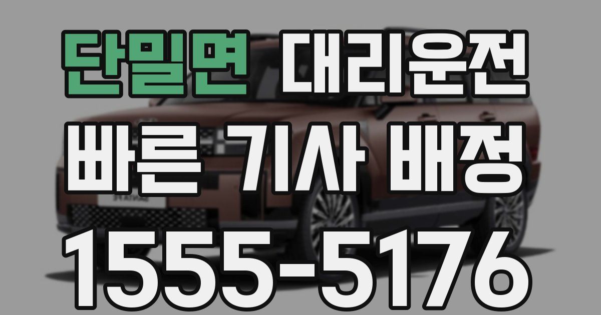 일일대리기사