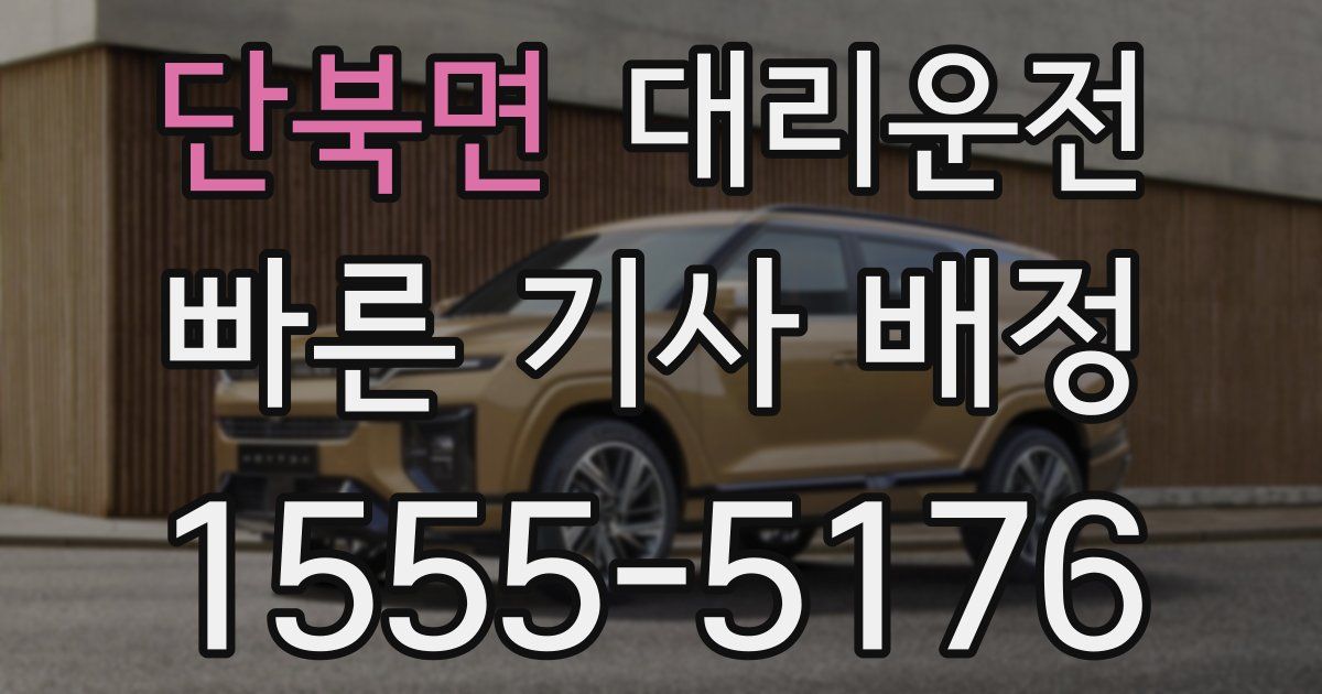 일일대리기사