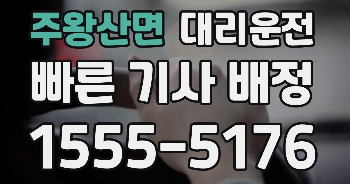 일일대리기사