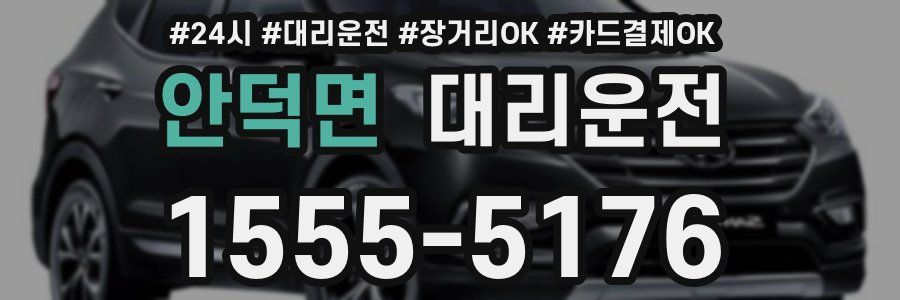 안덕면 대리운전