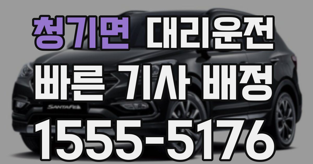 일일대리기사