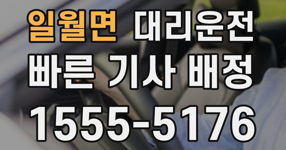 일일대리기사