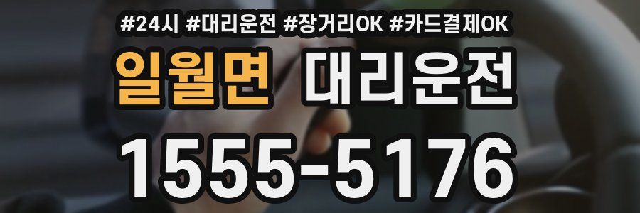 일월면 대리운전