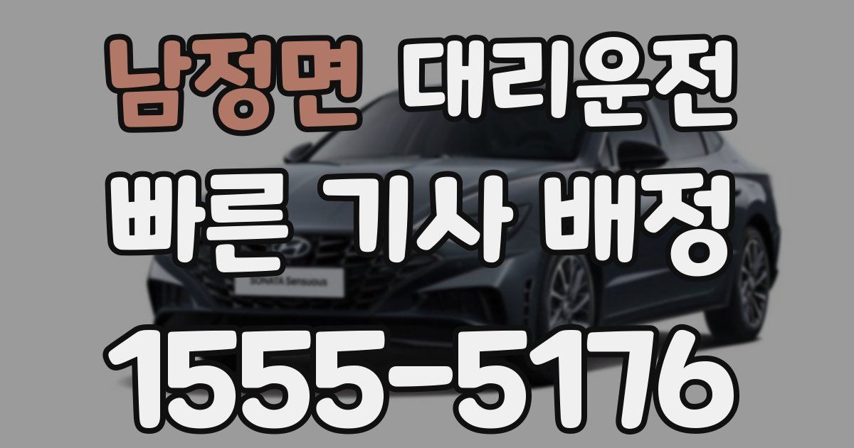 일일대리기사