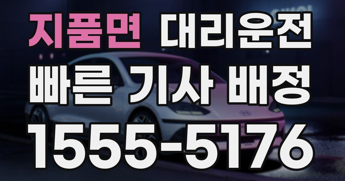 일일대리기사