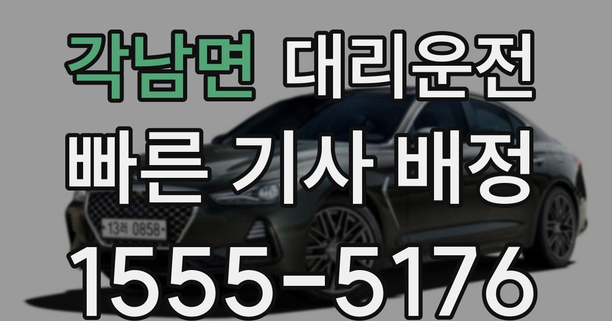 일일대리기사
