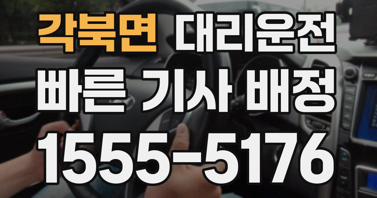 일일대리기사