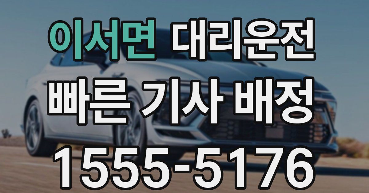 일일대리기사