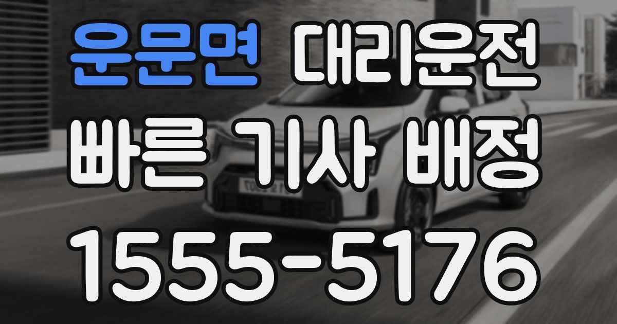 일일대리기사