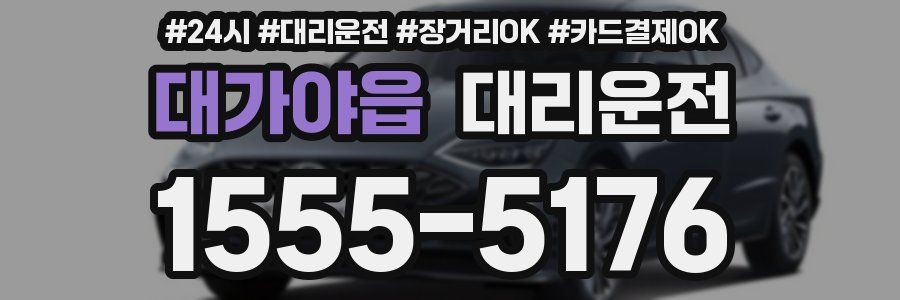 대가야읍 대리운전
