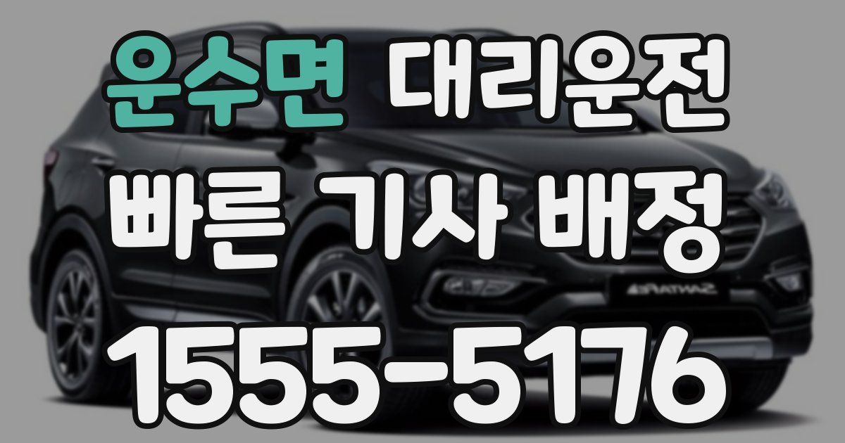 일일대리기사