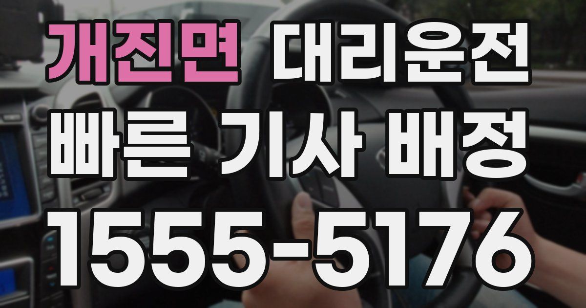 일일대리기사