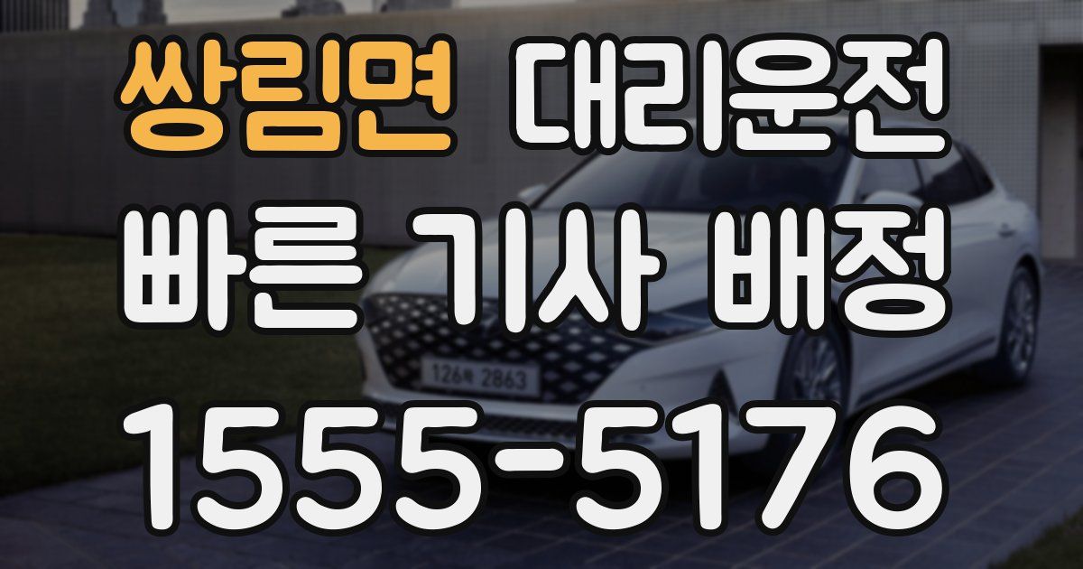 일일대리기사