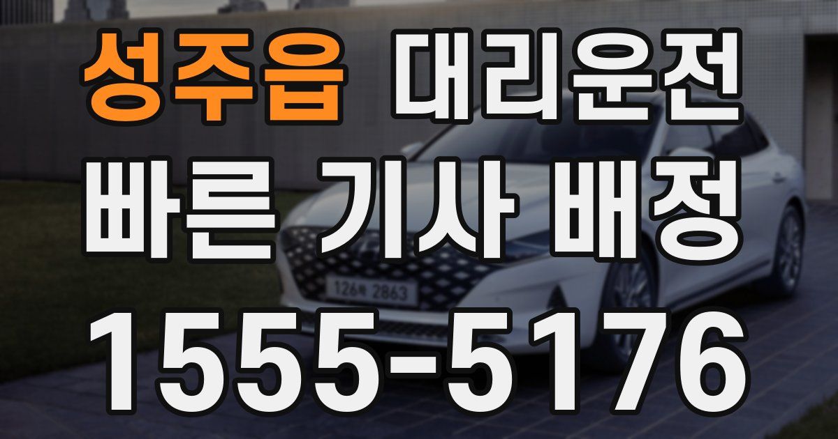 일일대리기사