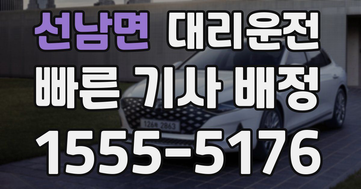일일대리기사