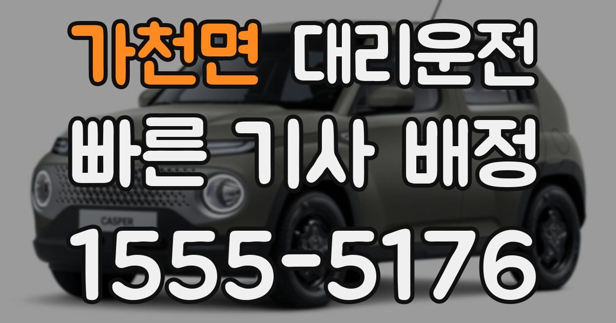 일일대리기사
