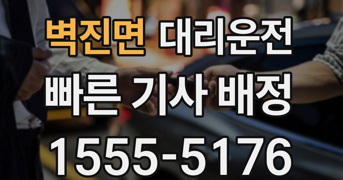 일일대리기사