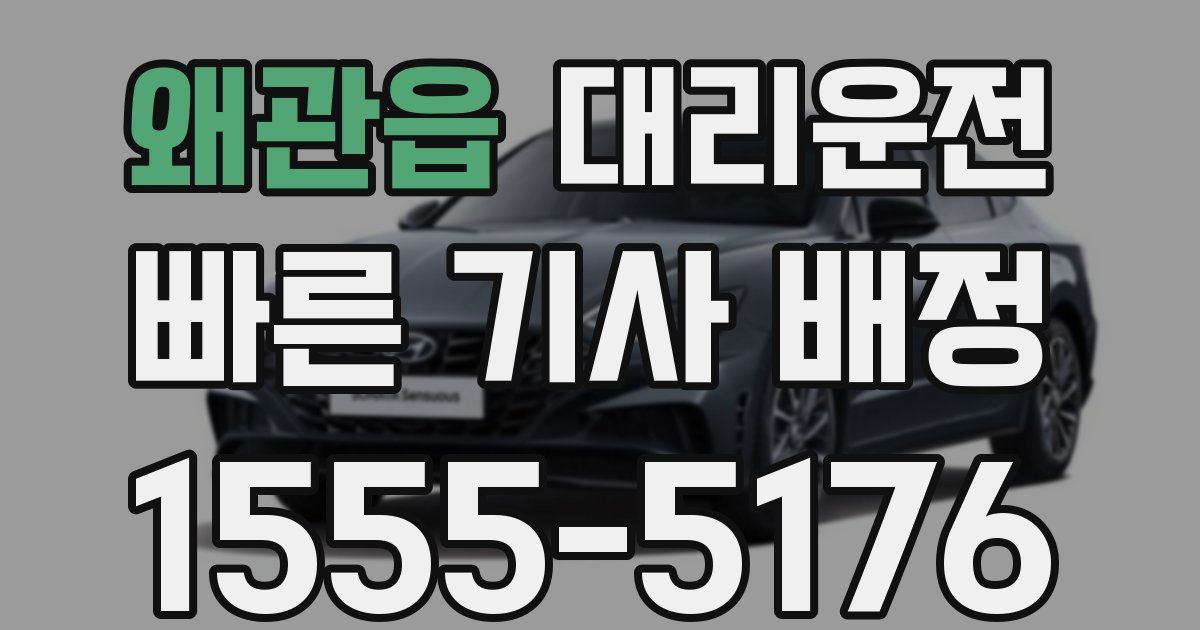 일일대리기사