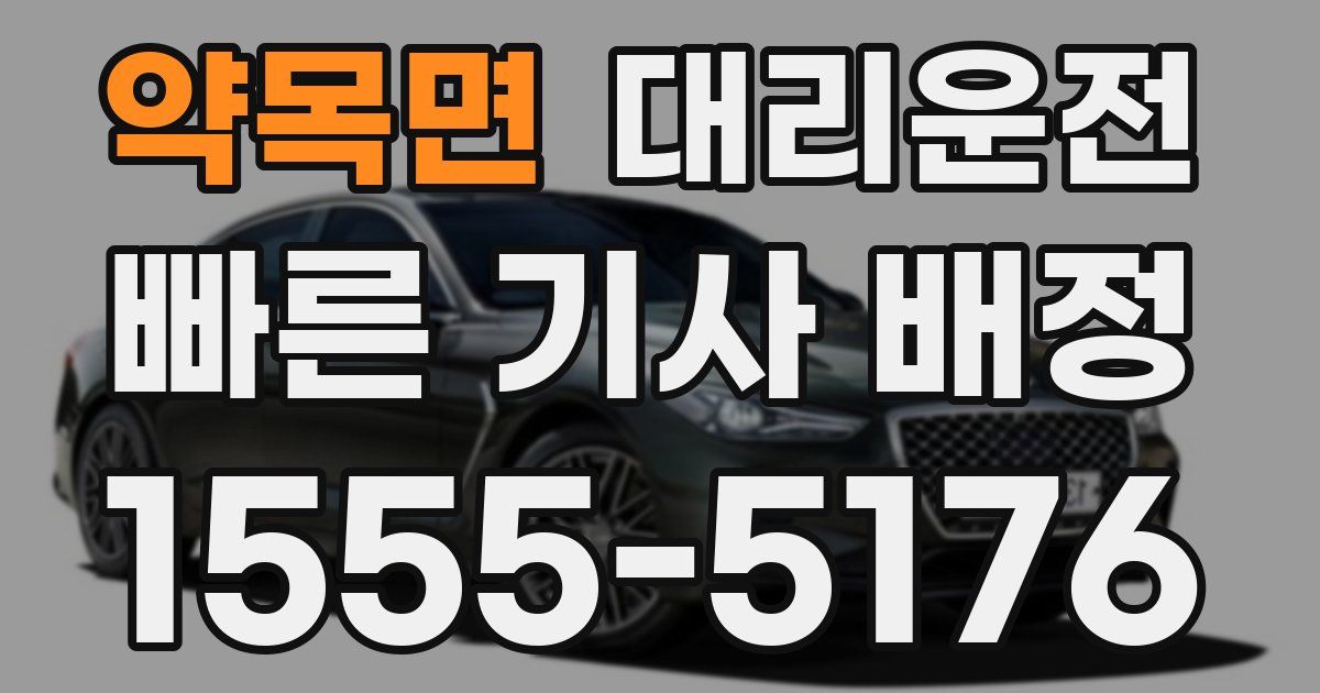 일일대리기사