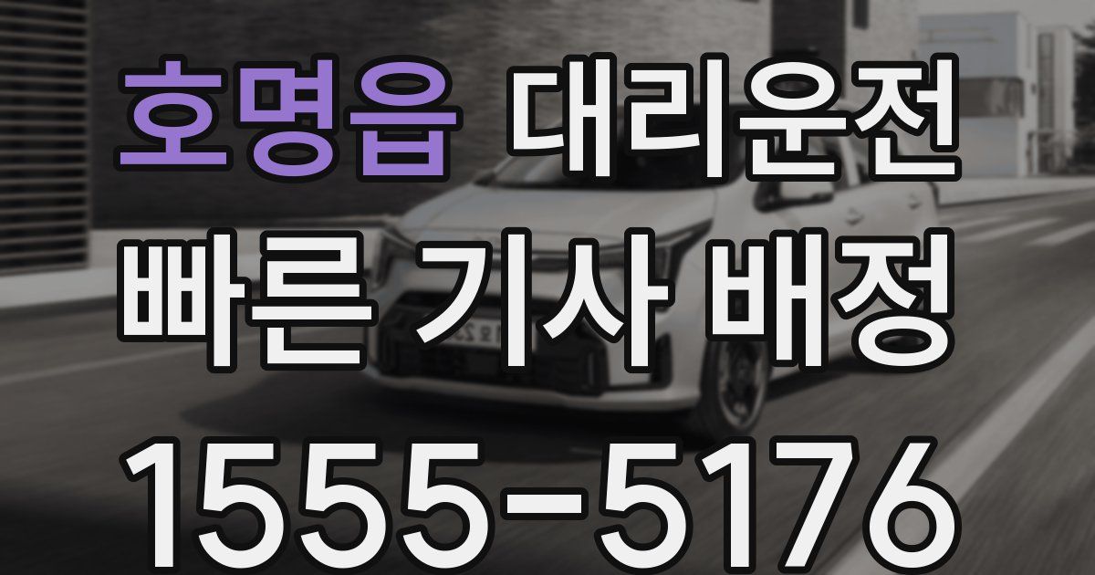 일일대리기사