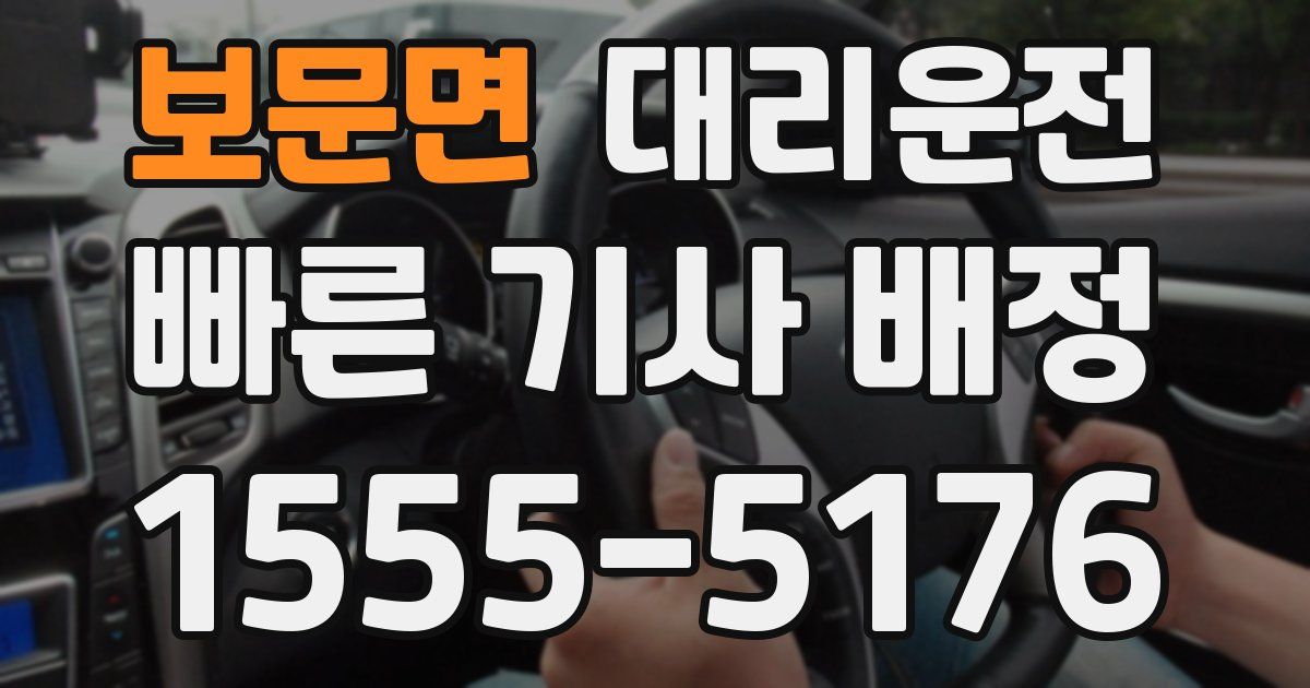 일일대리기사