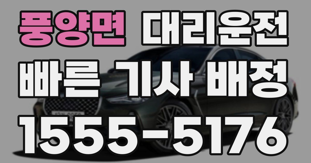 일일대리기사