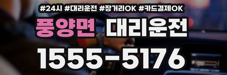 풍양면 대리운전