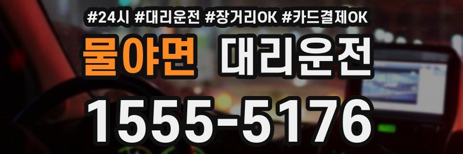 물야면 대리운전