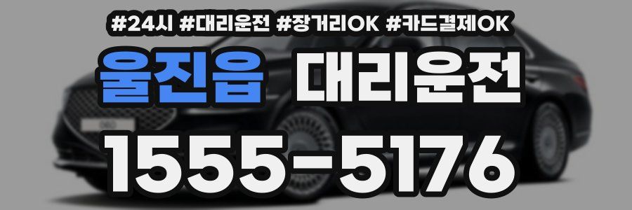 울진읍 대리운전