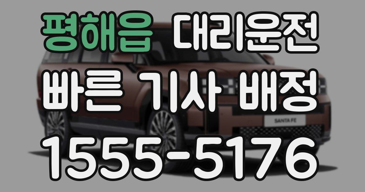 일일대리기사