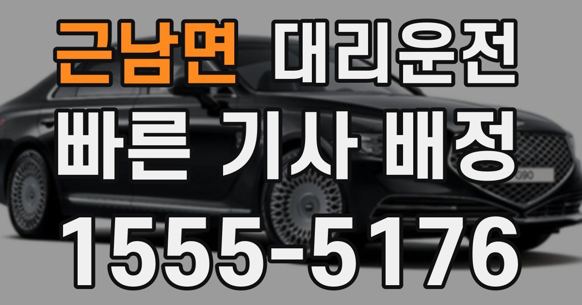 일일대리기사