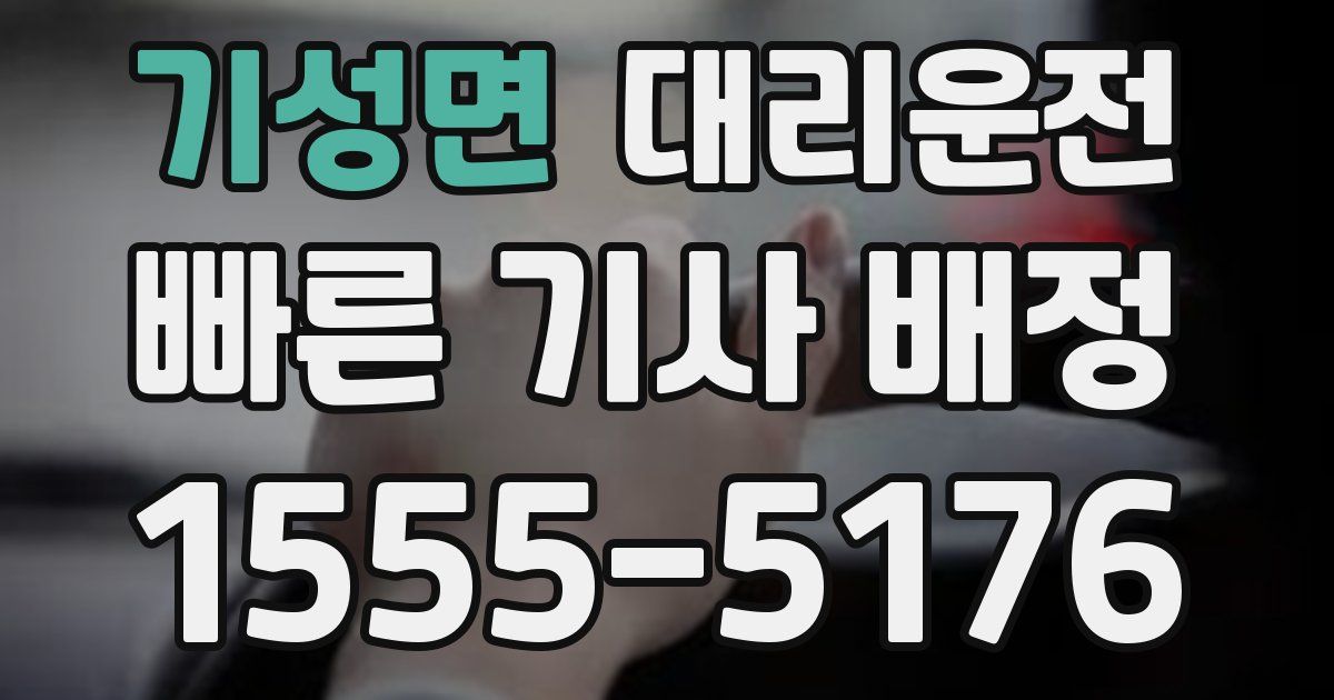 일일대리기사