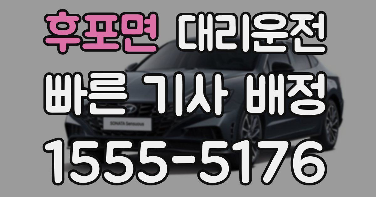 일일대리기사