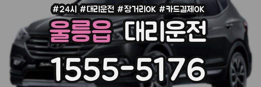 울릉읍 대리운전