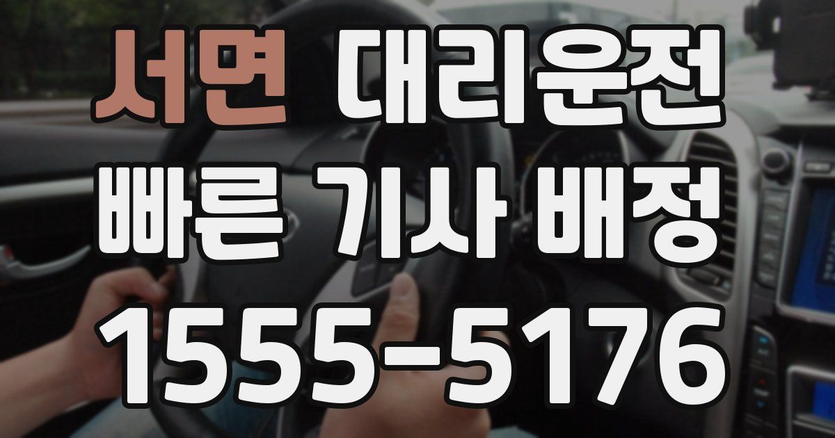 일일대리기사